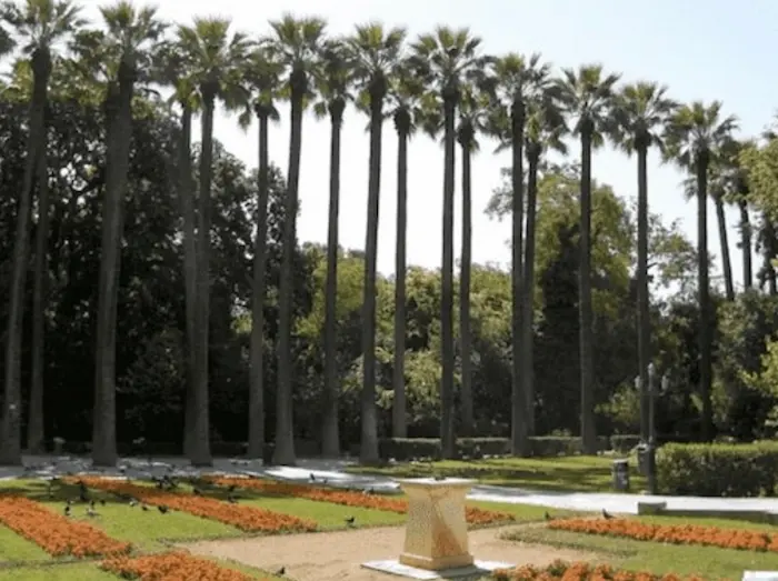 национальный парк