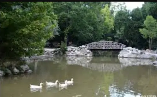 Teich im Nationalgarten