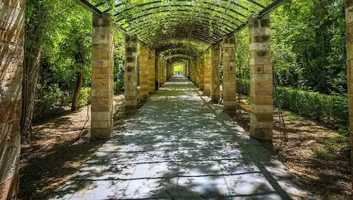 Аллея Национального сада