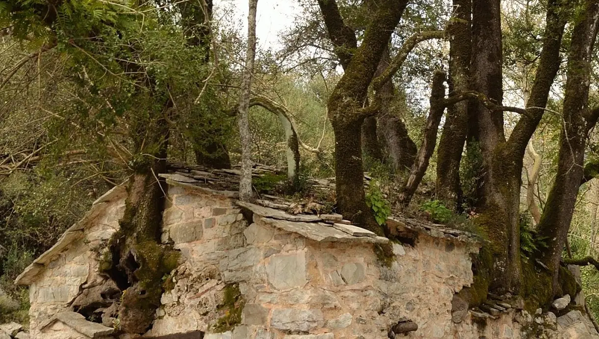 Рентген стен храма