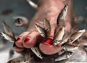 Рыбный пилинг