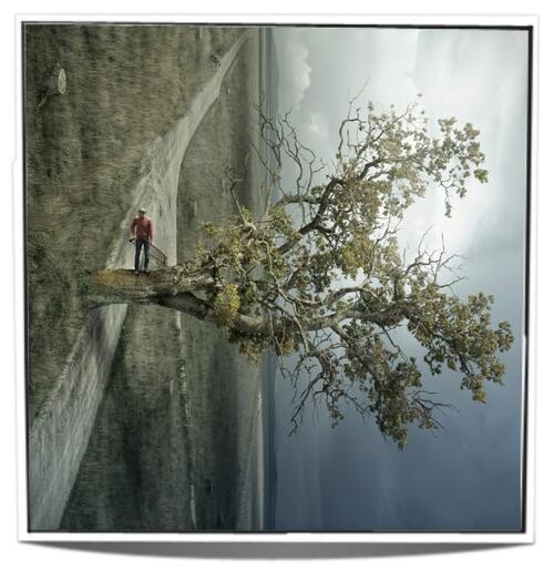 Древо Европы Древо Европы