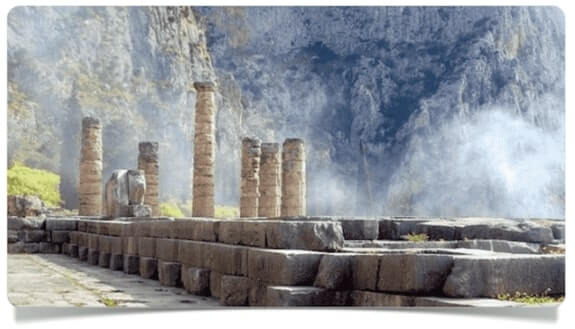 дельфы дельфы