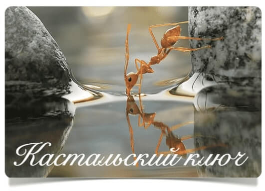 Кастальский ключ Кастальский ключ