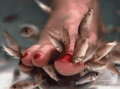 Рыбный пиллинг Рыбный пиллинг