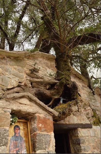 Чудо Храм с деревьями на крыше в Греции
