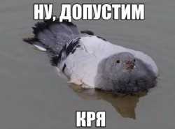 Астра Зенека и Христова молитва